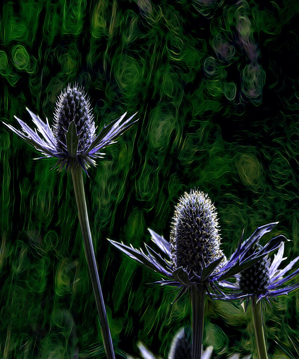 337 Blue flowers copy1